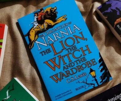 Lion witch and wardrobe book