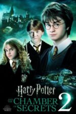 Chamber of Secrets movie (1)