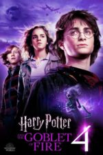 goblet of fire movie (1)